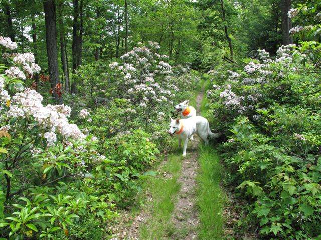 IMG_0063 (Small).JPG IMG_0063 (Small).JPG